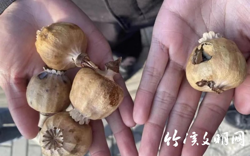 微信图片_20230320150228.jpg