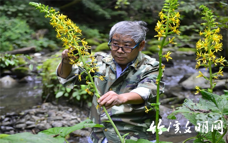 中国好人候选人工作生活照片2（十堰市竹溪县甘启良）(1).jpg