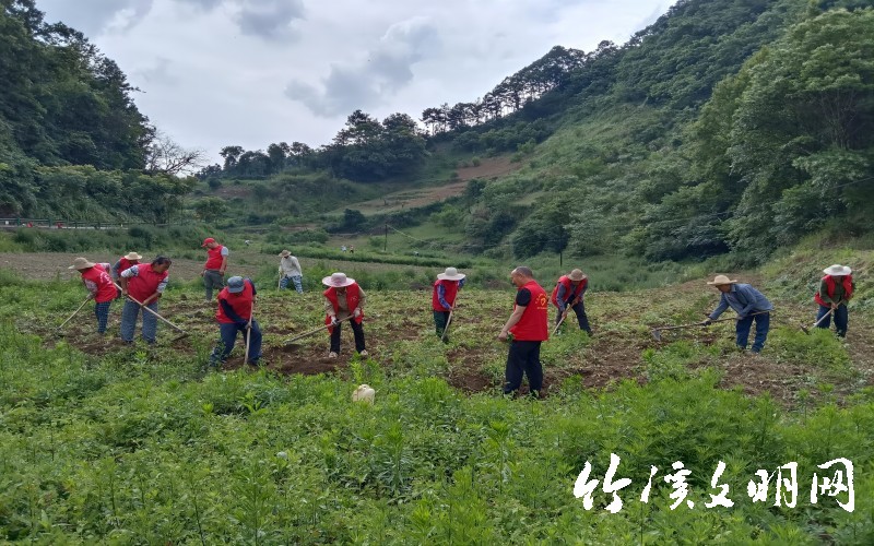 扶贫帮困志愿服务总队组织志愿者帮助尘肺病家庭田间管理 (2)(1).jpg