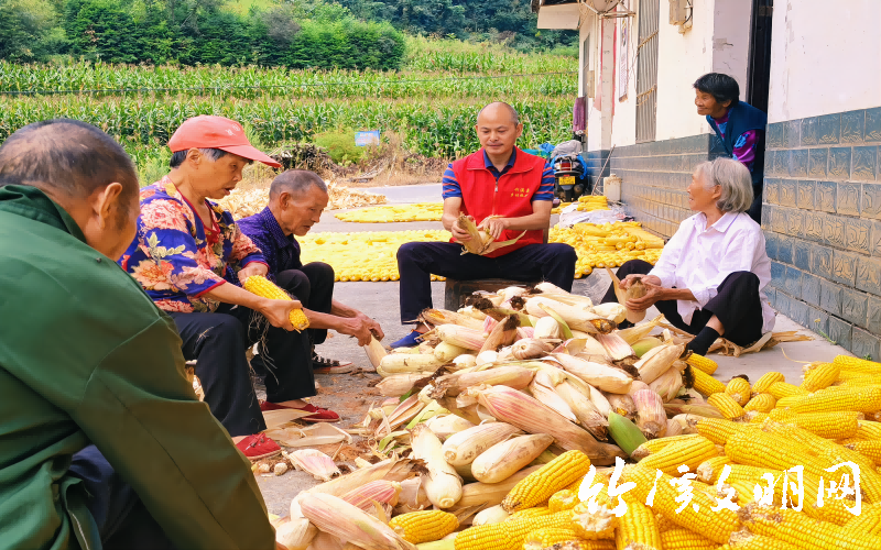 图片1(1).png